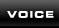 VOICE