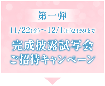 第一弾　11/22(金)～12/1(日)23：59まで　完成披露試写会ご招待キャンペーン