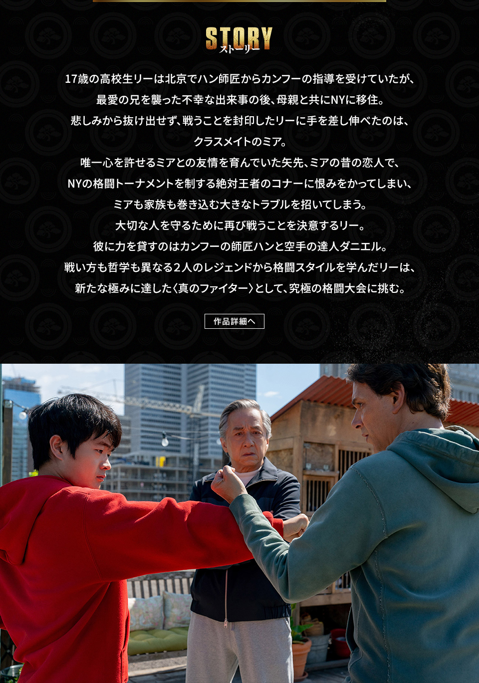 STORY ストーリー　17歳の高校生リーは北京でハン師匠からカンフーの指導を受けていたが、最愛の兄を襲った不幸な出来事の後、母親と共にNYに移住。悲しみから抜け出せず、戦うことを封印したリーに手を差し伸べたのは、クラスメイトのミア。唯一心を許せるミアとの友情を育んでいた矢先、ミアの昔の恋人で、NYの格闘トーナメントを制する絶対王者のコナーに恨みをかってしまい、ミアも家族も巻き込む大きなトラブルを招いてしまう。大切な人を守るために再び戦うことを決意するリー。彼に力を貸すのはカンフーの師匠ハンと空手の達人ダニエル。戦い方も哲学も異なる２人のレジェンドから格闘スタイルを学んだリーは、新たな極みに達した〈真のファイター〉として、究極の格闘大会に挑む。　作品詳細へ