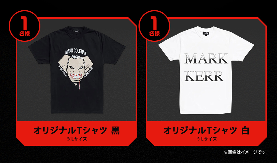賞品：オリジナルTシャツ 黒 ※Lサイズ 1名様　賞品：オリジナルTシャツ 白 ※Lサイズ 1名様　※画像はイメージです。