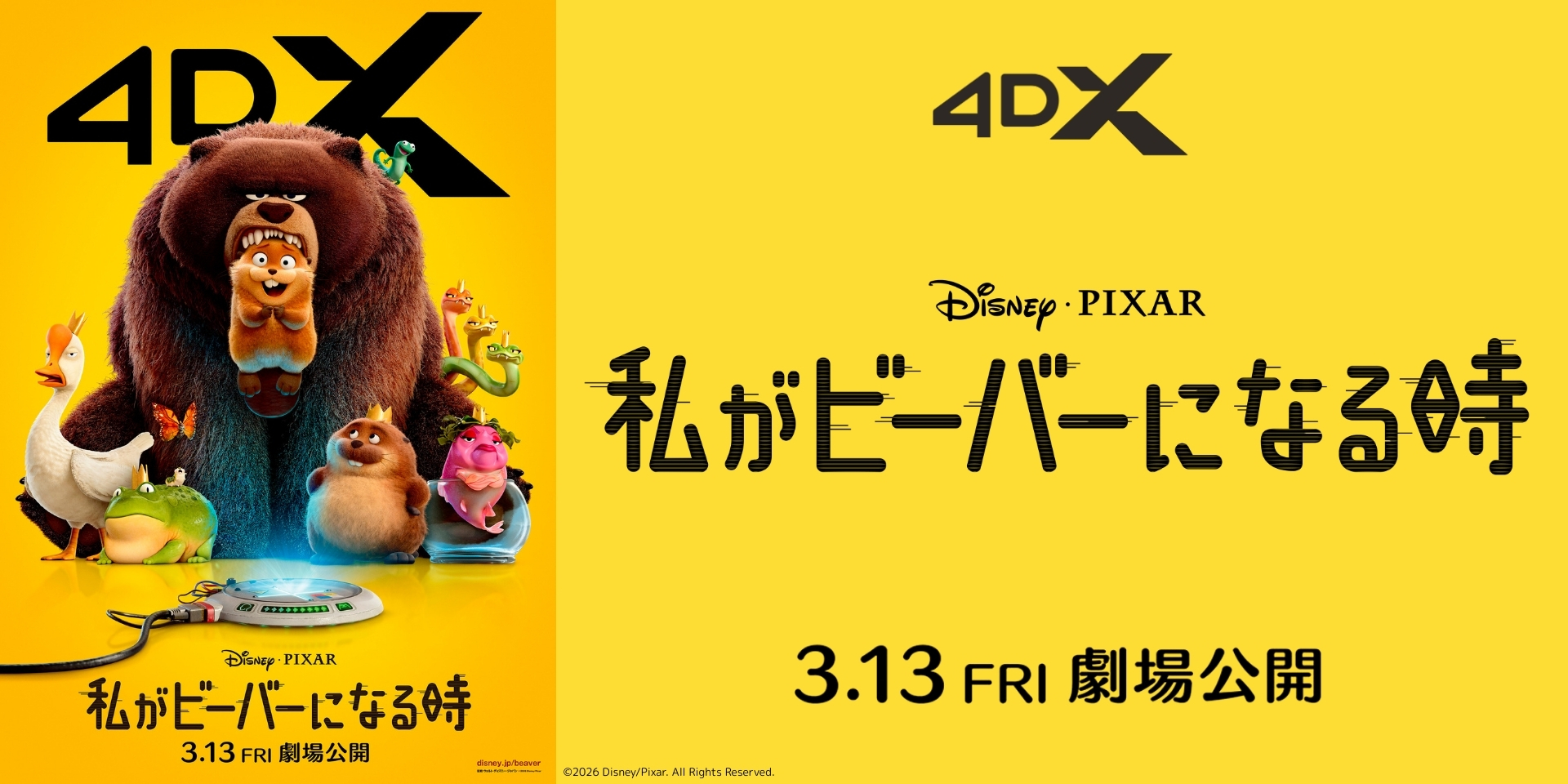 私がビーバーになる時