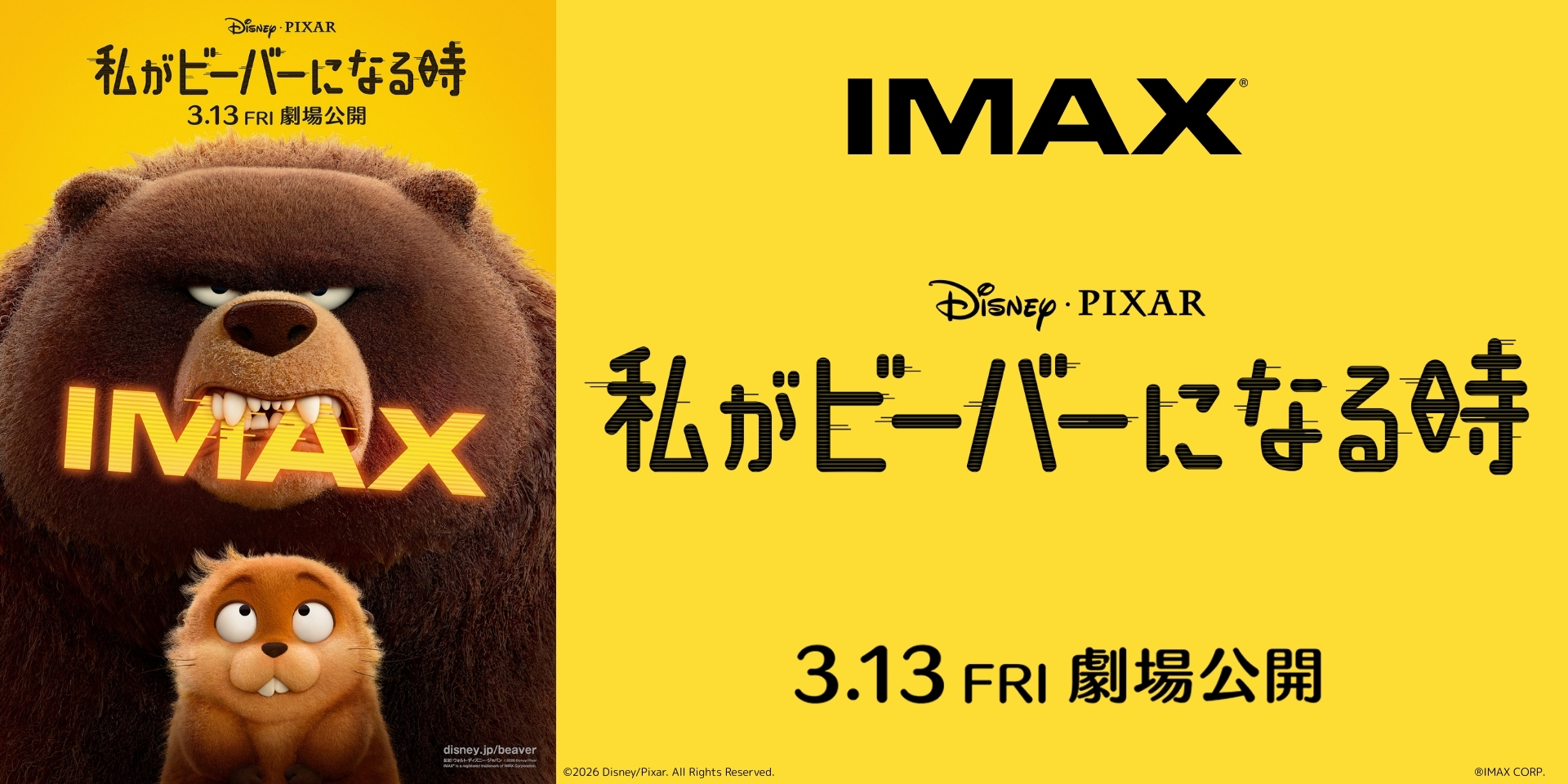 私がビーバーになる時