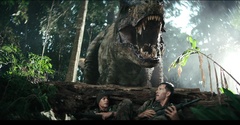 PRIMITIVE WAR